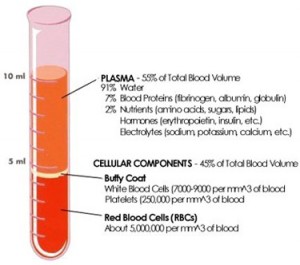 PRP-2